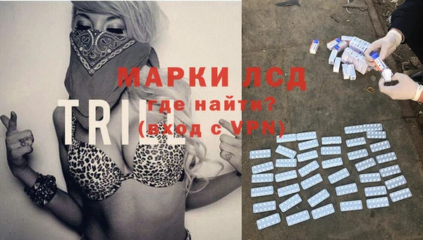 трава Абаза