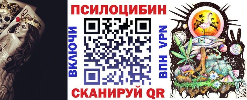 закладки  Архангельск  Галлюциногенные грибы прущие грибы 