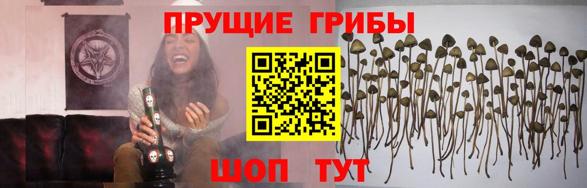 Архангельск  Галлюциногенные грибы MAGIC MUSHROOMS  Вход с VPN  дарнет шоп  Галлюциногенные грибы GOLDEN TEACHER 